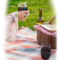Plastic Stemless Wine Glasses by En Soiree by DailySale