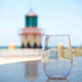 Plastic Stemless Wine Glasses by En Soiree by DailySale