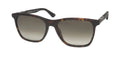 Police Spl872 Origins 1 Sunglasses by ModaFrames