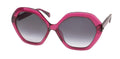 Police Spld29 Sunglasses by ModaFrames