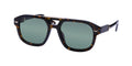 Police Spll19 Monument 1 Sunglasses by ModaFrames