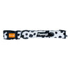 Polka Dog Classic Collar
