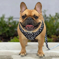 Polka Dog Leash Kit by Pawmigo