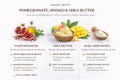 Pomegranate Mango Turmeric Kojic Shea Butter Bar Soap – Brightening Cleanse by Lulu’s Holistics