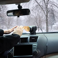 Portable Car Heater 2-in-1 Heating Cooling Fan by DailySale