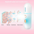 Portable Mini Face Steamer by DailySale