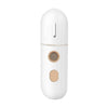 Portable Mini Face Steamer