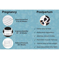 Pregnancy Support Maternity Pain Relief Belt Brace by DailySale