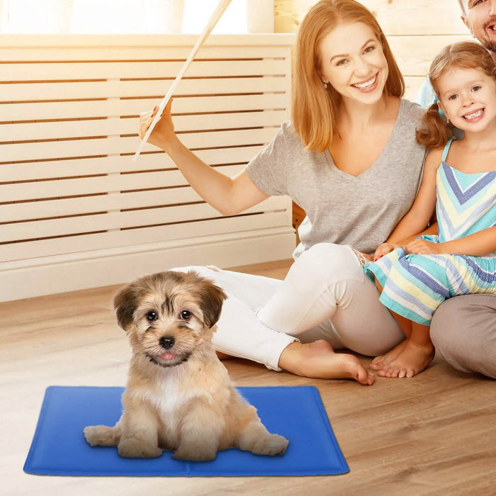 Pressure Activated Pet Gel Self Cooling Mat Pad by DailySale