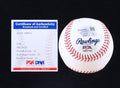 Ozzie Smith Signed HOF Baseball with Case (PSA Graded 10) by Price Is Right Miami