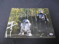 Pedro Pascal Signed The Mandalorian 8x10 Photo, Star Wars (COA) by Price Is Right Miami