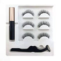 Professional Long Lasting Magnetic Eyeliner And Eyelash Kit by DailySale