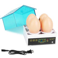 Professional Poultry Hatcher with Digital Display Automatic Temperature Humidity by DailySale