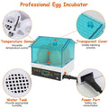 Professional Poultry Hatcher with Digital Display Automatic Temperature Humidity by DailySale