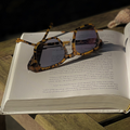 Dawn by RENEE'S READERS