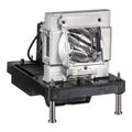 Projector Lamp for BenQ PW PW9620; BenQ PU PU9730; BenQ PX PX9710 by Texas Depot