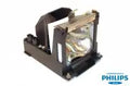 Projector Lamp for Boxlight CP CP-16T; Boxlight CP CP-12T; Boxlight CP CP-18T; Boxlight CP CP-19T; B by Texas Depot