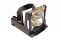 Projector Lamp for Boxlight CP CP-16T; Boxlight CP CP-12T; Boxlight CP CP-18T; Boxlight CP CP-19T; B by Texas Depot