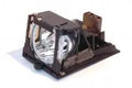 Projector Lamp for Boxlight XD XD5M; Boxlight XD XD9M; Kodak DP DP2000; Kodak DP DP2900; InFocus LP by Texas Depot