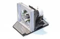 Projector Lamp for Dell 2000 2300MP; Acer PD PD116P; Acer PD PD116PD; Acer PD PD521D by Texas Depot