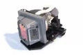 Projector Lamp for Dell 4000 4610X; Dell 4000 4310WX; Dell 4000 4210X by Texas Depot