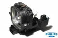 Projector Lamp for Epson V11H V11H137020; Epson V11H V11H136020; Epson PowerLite Powerlite 74C; Epso by Texas Depot