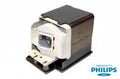 Projector Lamp for InFocus IN2 IN2194; InFocus IN2 IN2192; InFocus IN2 IN2116; InFocus IN2 IN2114; I by Texas Depot