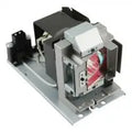 Projector Lamp for InFocus IN3 IN3138HDa; InFocus IN3 IN3136a; InFocus IN3 IN3134a; InFocus IN3 IN31 by Texas Depot
