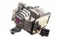 Projector Lamp for InFocus IN6 IN67; InFocus IN6 IN65W; InFocus X X8; InFocus X X30; InFocus LPX LPX by Texas Depot