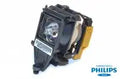 Projector Lamp for InFocus LP1 LP130; IBM iL IL1210; IBM iL iLM300 Mirco Portable; Toshiba TDP-P TDP by Texas Depot