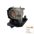 Projector Lamp for NEC U U260WG; NEC U U260W; NEC U U250XG; NEC U U250X; NEC NP-U NP-U260WG; NEC NP- by Texas Depot