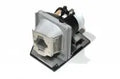 Projector Lamp for Optoma HD HD73; Optoma HD HD72i; Optoma HD HD72; Optoma HD HD6800 by Texas Depot