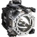 Projector Lamp for Panasonic PT-DS PT-DS20K; Panasonic PT-DZ PT-DZ21KU; Panasonic PT-DZ PT-DZ21KE; P by Texas Depot