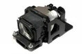 Projector Lamp for Panasonic PT-LB PT-LB51SEA; Panasonic PT-LB PT-LB51SE; Panasonic PT-LB PT-LB51NTE by Texas Depot