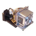Projector Lamp for Sanyo PLC-W PLC-WXU10N; Sanyo PLC-W PLC-WXU10B; Sanyo PLC-W PLC-WXU1000C; Sanyo P by Texas Depot