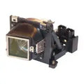 Projector Lamp for ViewSonic PJ4 PJ402D-2; ViewSonic PJ4 PJ458D; Liesegang DD ddv2100 by Texas Depot