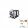 Projector Lamp for Vivitek D900 D925TX; Vivitek D900 D927TW; Vivitek D900 D929TX; Vivitek D900 D935E by Texas Depot