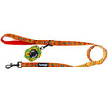 Pupkin Patch Leash Kit by Pawmigo