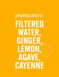 PURE GINGERADE by Pure Green