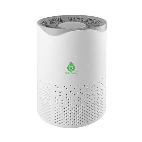 Pursonic USB Powered True Hepa Air Purifier by DailySale