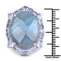13.99 Carat Genuine Labradorite and Tanzanite .925 Sterling Silver Ring by Bids.com