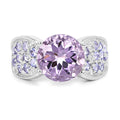 4.07 Carat Genuine Amethyst & Tanzanite .925 Sterling Silver Ring by Bids.com