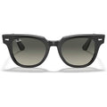 Ray-Ban RB2168 METEOR Sunglasses For Men For Women+ BUNDLE with Designer iWear Eyewear Care Kit (Refurbished) by DailySale