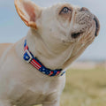 Red, White, & Bark Classic Collar by Pawmigo