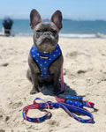 Red, White & Bark Leash Kit by Pawmigo