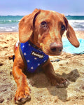Red, White & Bark Reversible Harness by Pawmigo