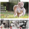 Reflective GPS Cat Collar with AirTag Holder and Bell by DailySale