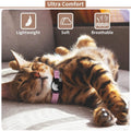 Reflective GPS Cat Collar with AirTag Holder and Bell by DailySale