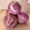 Relax + Restore Soak Bomb – Deep Jasmine by Adiva Naturals