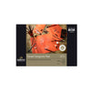 Rembrandt Toned Sanguined Red Paper 4x6 | 12 Sheets